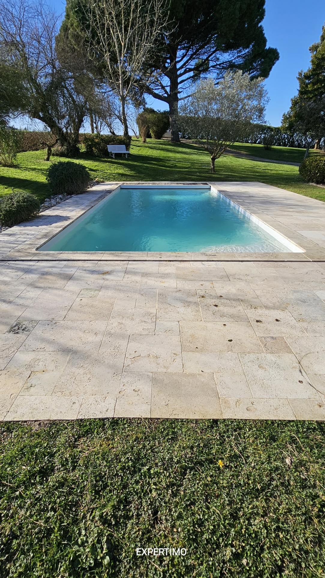 Rectangular backyard pool with beige stone patio, green lawn, and trees under a blue sky.