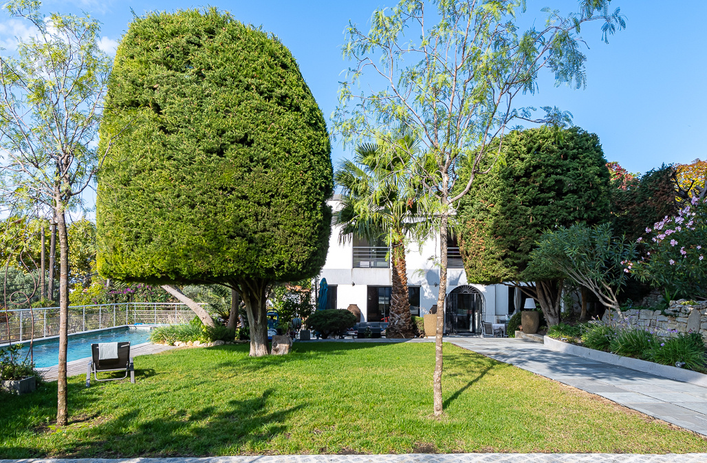 Well-manicured front yard with a large sculpted tree, palm trees, a rectangular pool to the left, and a white two-story house in the background.