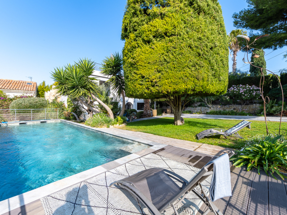 Residential backyard with a rectangular swimming pool, lounge chairs, and a large trimmed tree on a sunny day.