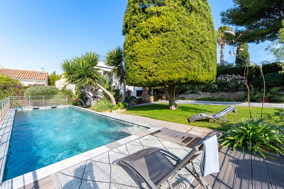 Residential backyard with a rectangular swimming pool, lounge chairs, and a large trimmed tree on a sunny day.