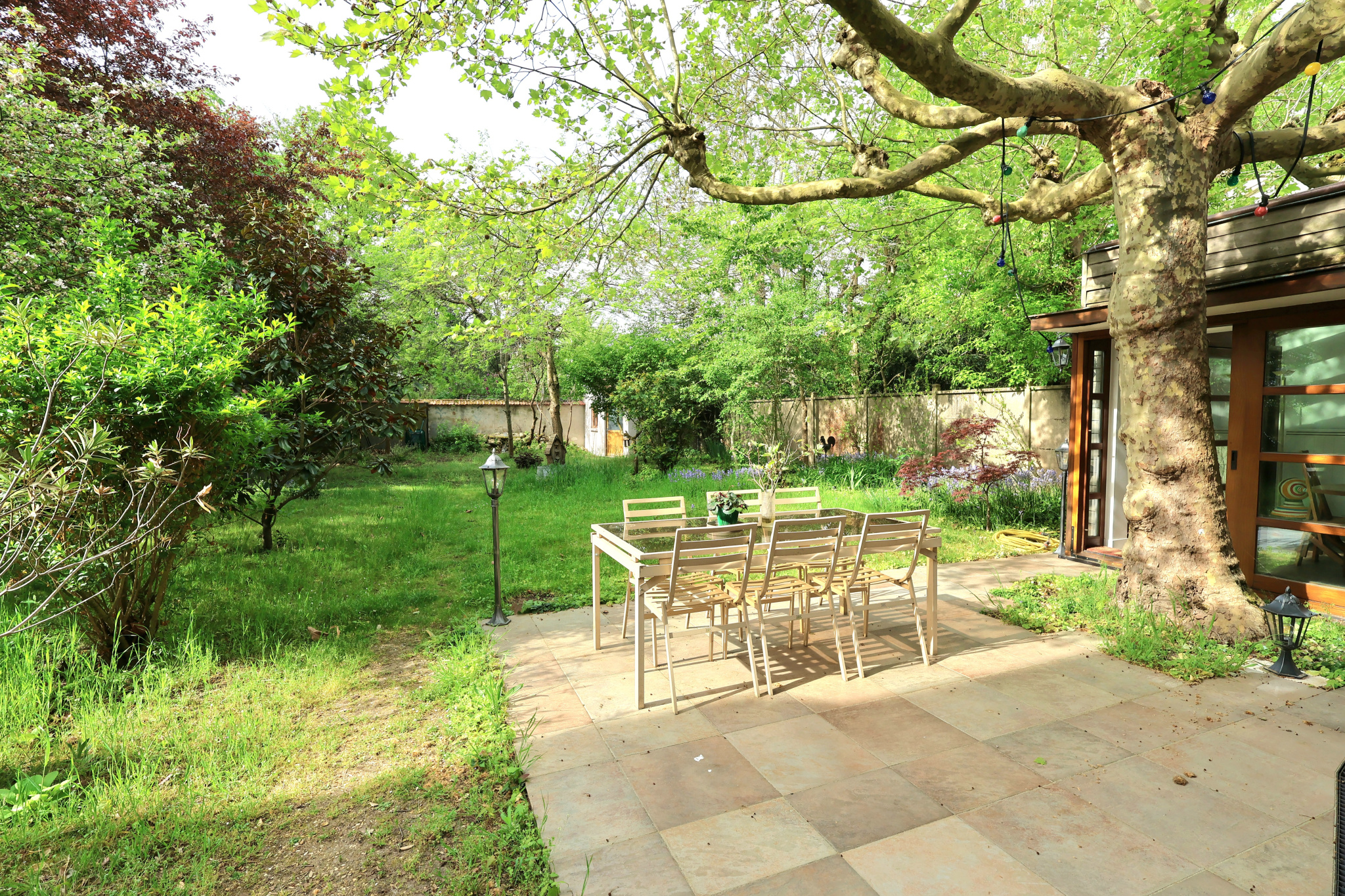 Outdoor patio with a wooden dining table and eight chairs beneath a large tree in a lush backyard garden.