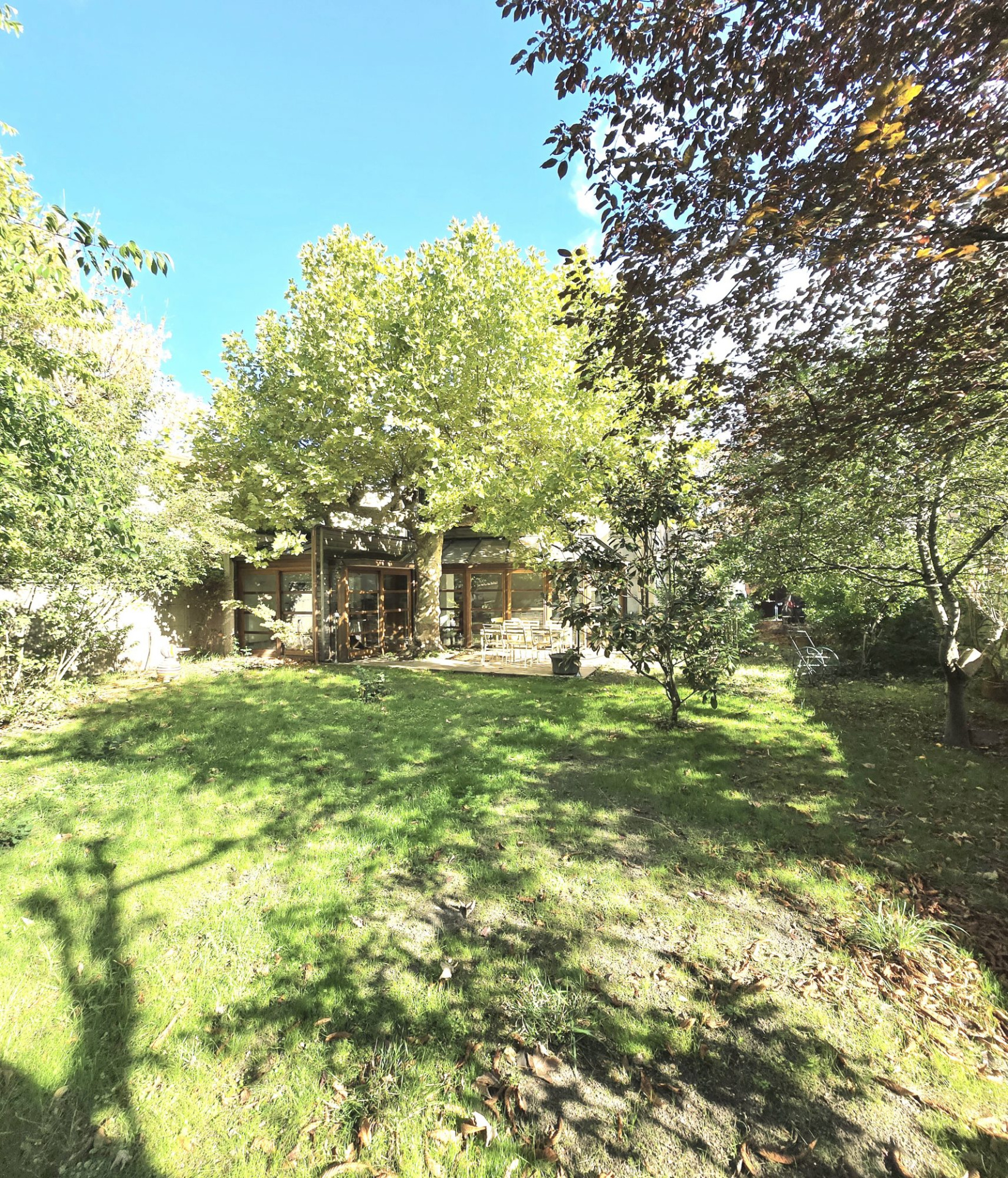Sunlit backyard with a glass-walled house framed by green trees and a grassy lawn.