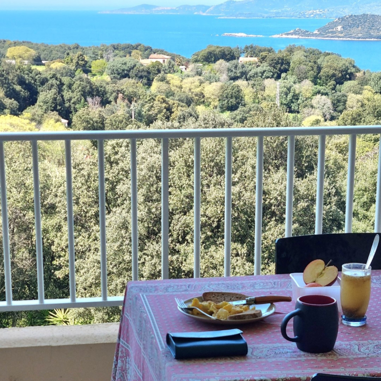 PROCHE CENTRE – REZ DE JARDIN – CHALET ARCADIA