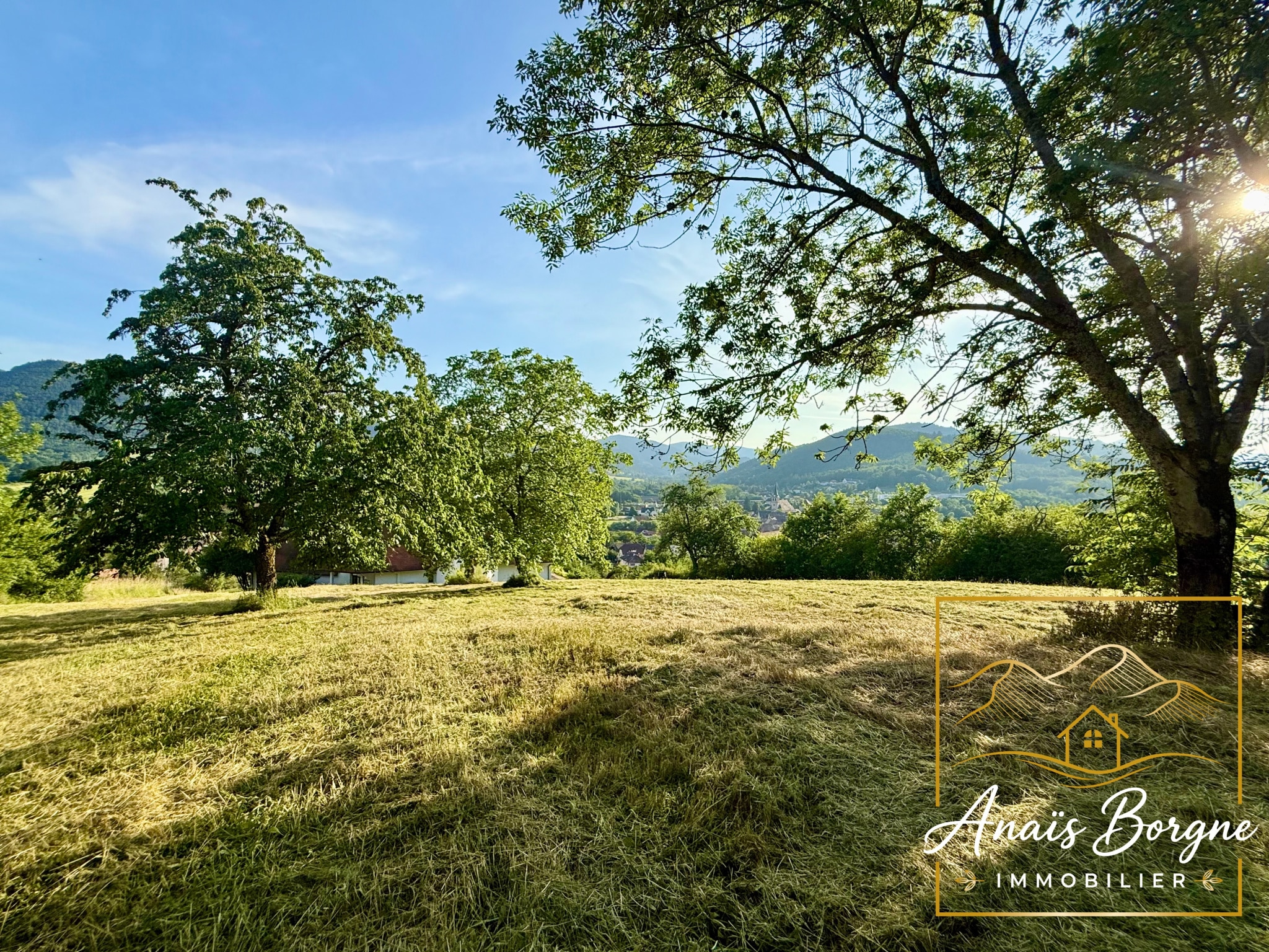 Vue dégagée sur la vallée depuis une propriété avec arbres en premier plan.