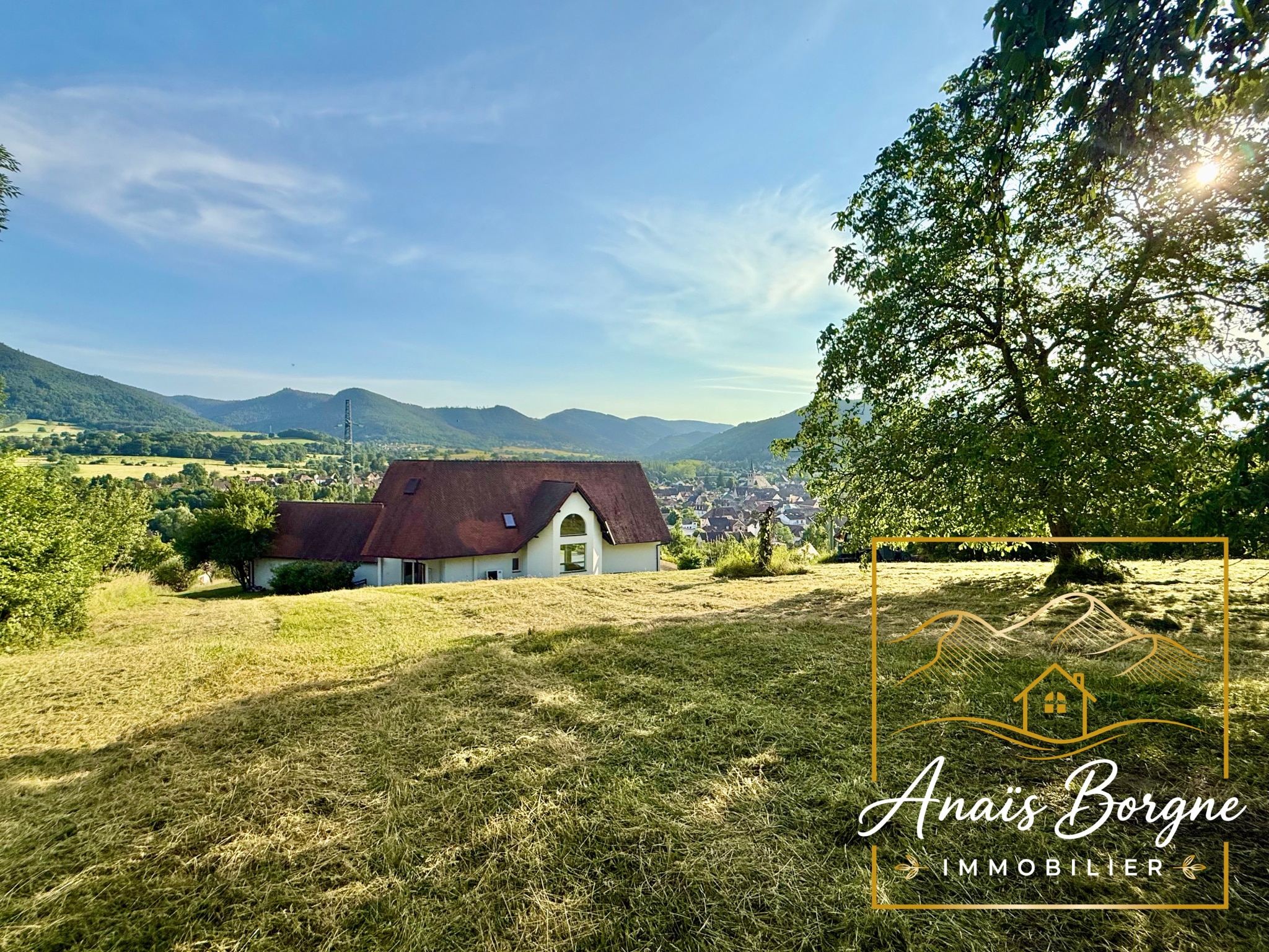 Villa avec vue panoramique sur la vallée à Villé, entourée de verdure.