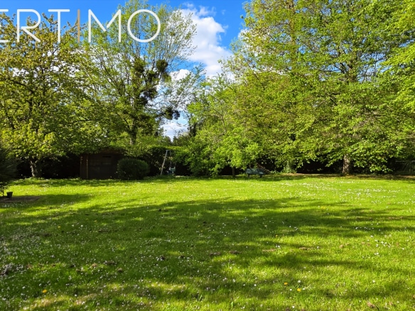 Large green garden with trees, sunny, in a park in La Norville.