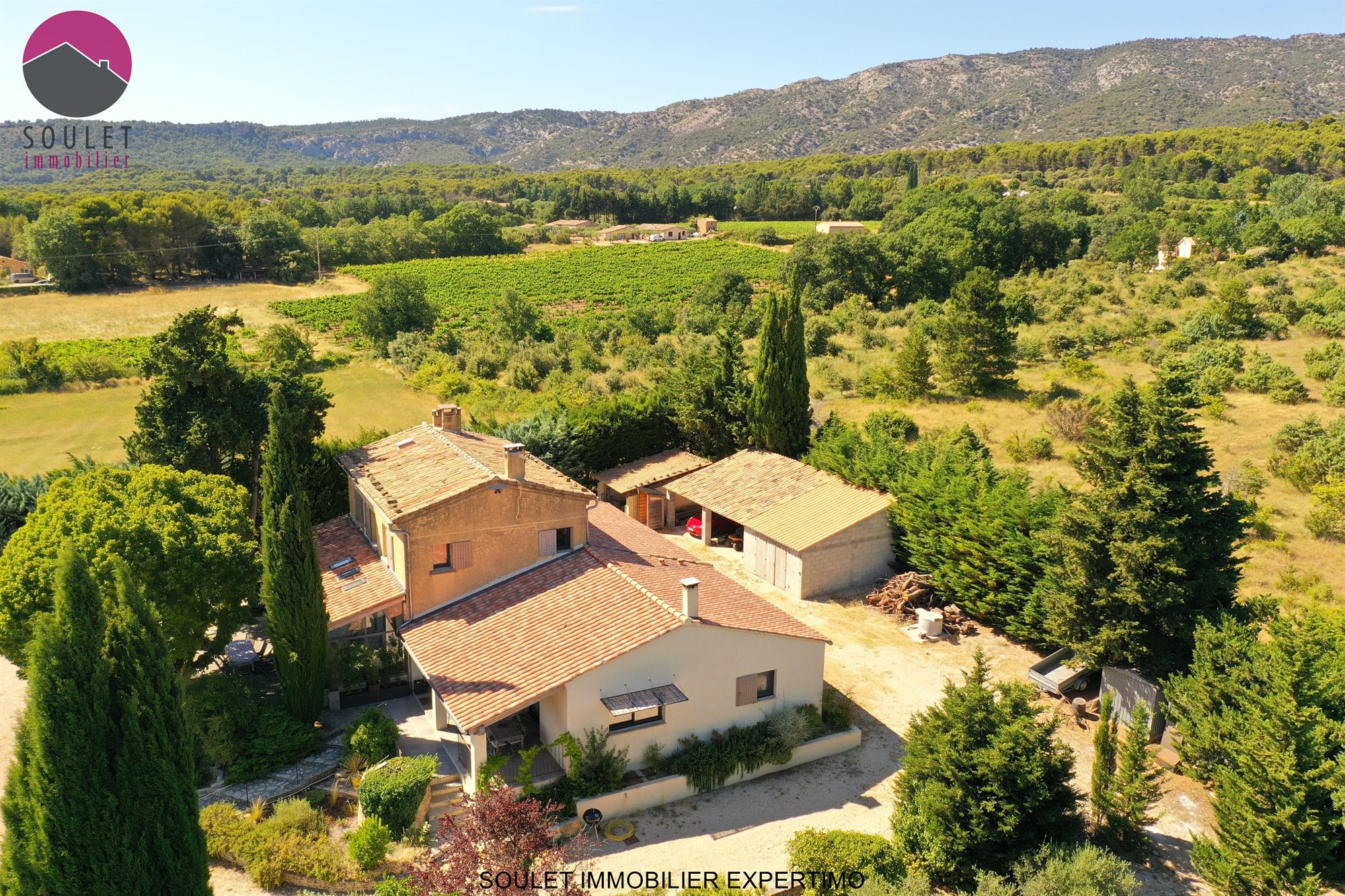 Propriété avec vue sur le Mont Ventoux et terrain de 1.3ha à Bédoin, incluant maison principale et gîte.