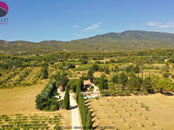 Vue aérienne d'une propriété avec oliviers et montagne en arrière-plan à Bédoin.