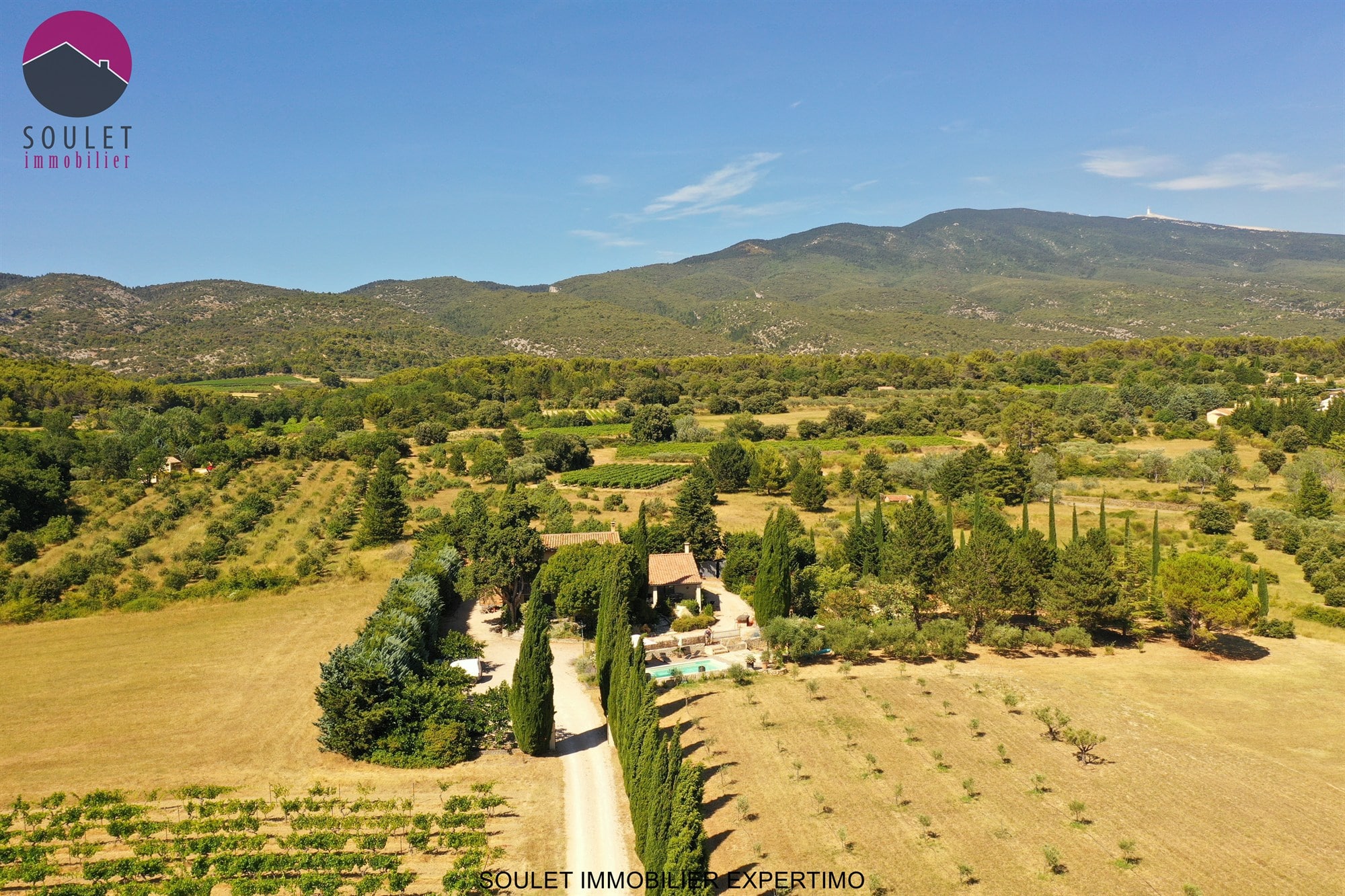 Vue aérienne d'une propriété avec oliviers et montagne en arrière-plan à Bédoin.