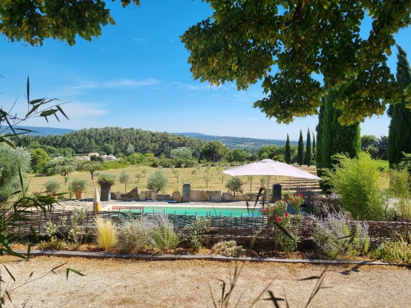 Vue sur une piscine entourée de verdure et d'oliviers à Bédoin.