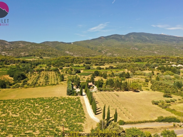 Vue aérienne d'une propriété avec oliviers et Mont Ventoux en arrière-plan à Bédoin.