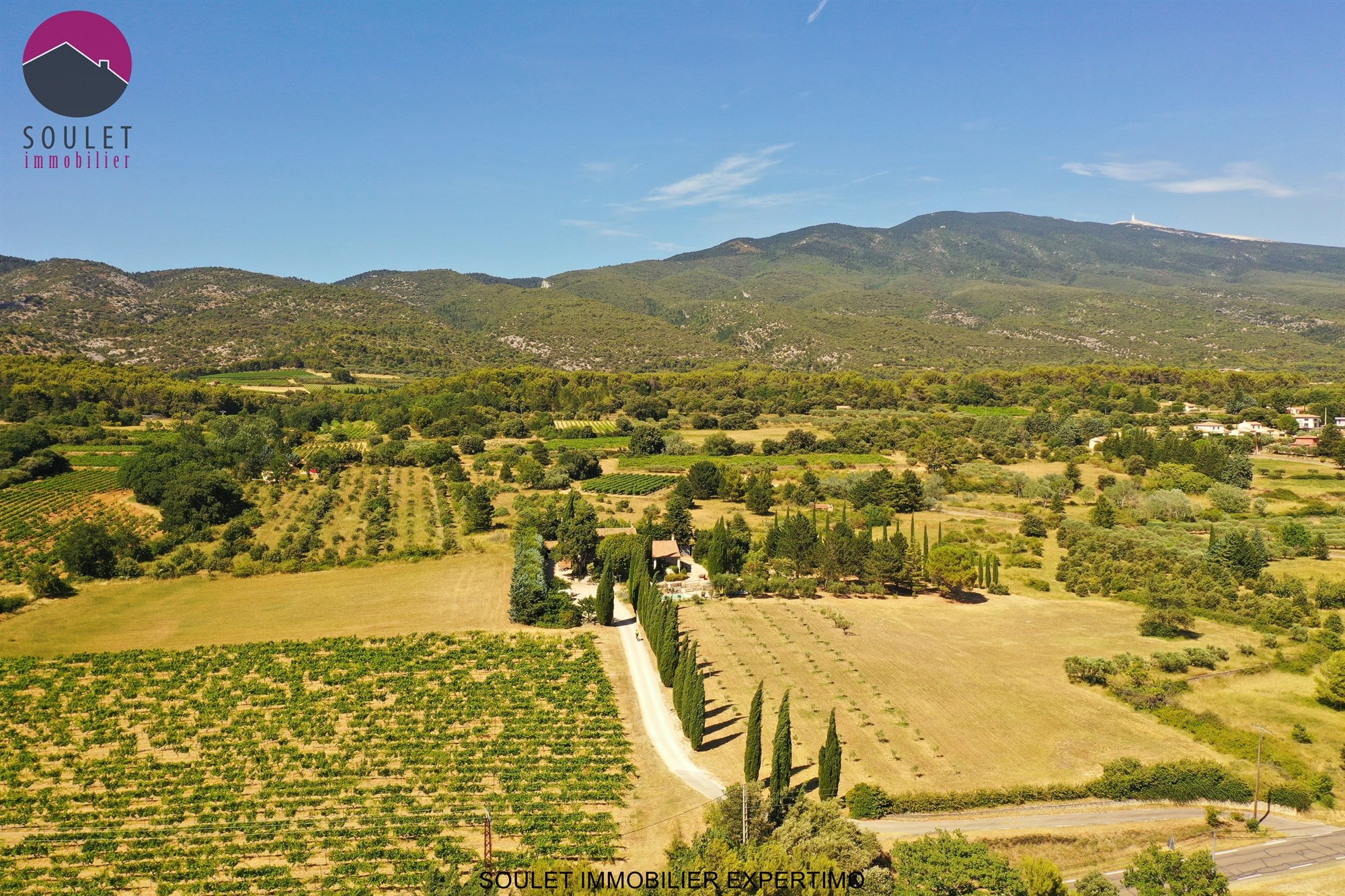 Vue aérienne d'une propriété avec oliviers et Mont Ventoux en arrière-plan à Bédoin.