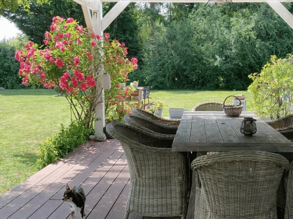Terrasse en bois avec mobilier de jardin et chien, entourée de verdure et de fleurs.