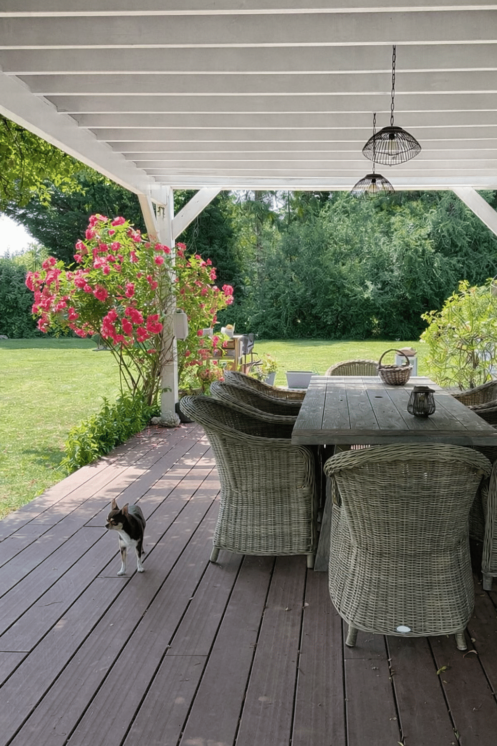 Terrasse en bois avec mobilier de jardin et chien, entourée de verdure et de fleurs.
