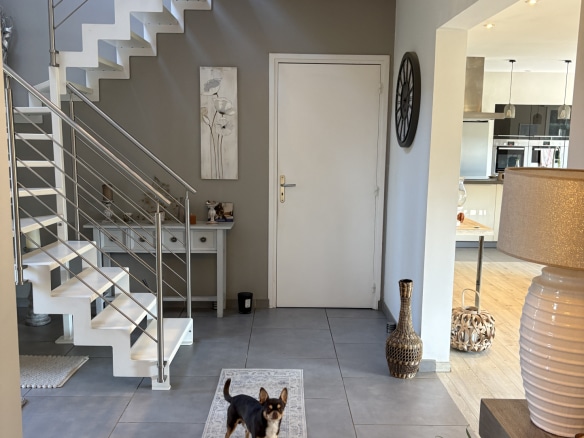 Entrée d'une maison contemporaine avec un chien, escalier moderne et décoration intérieure.