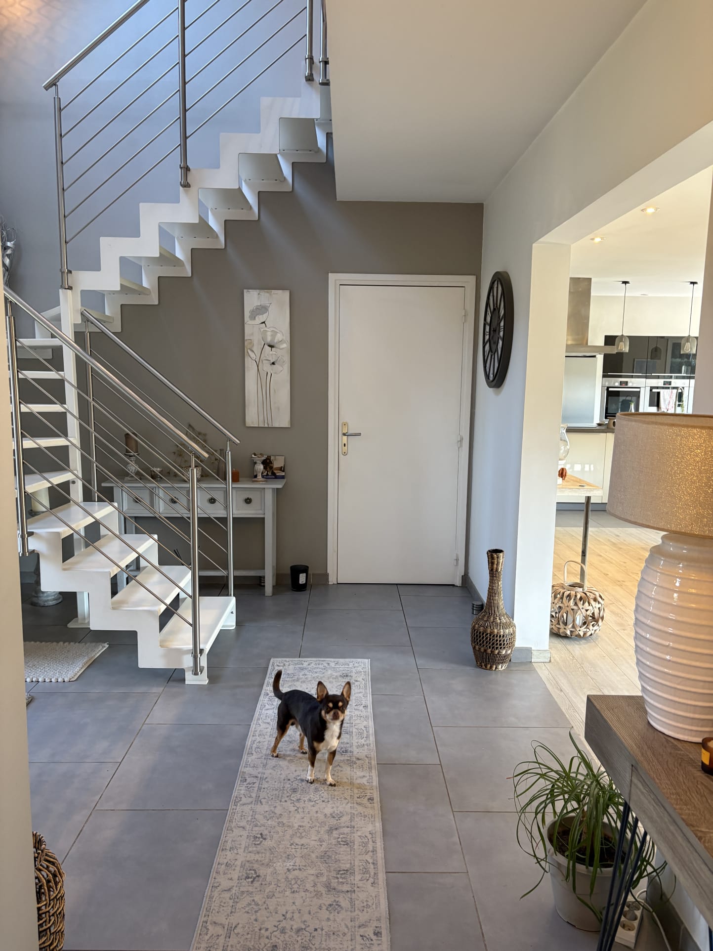 Entrée d'une maison contemporaine avec un chien, escalier moderne et décoration intérieure.