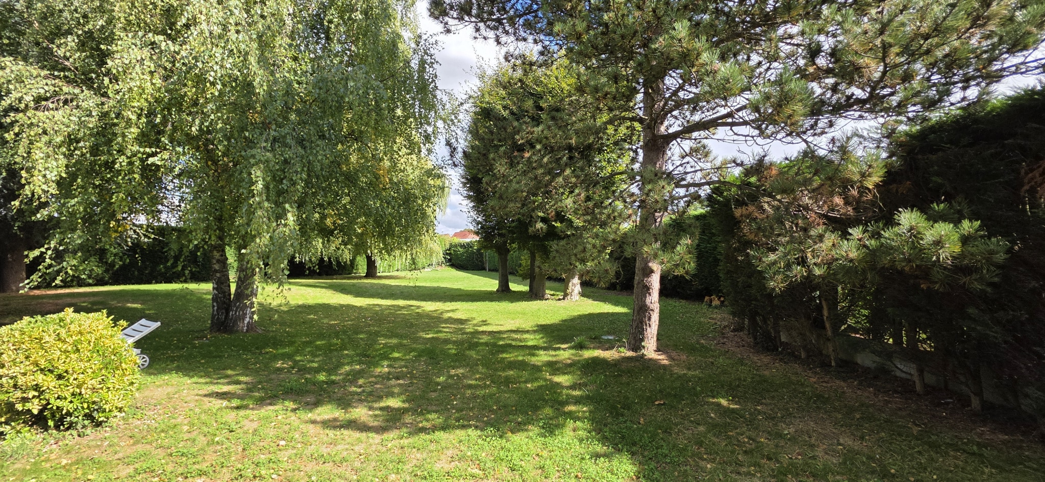 Garden of the house in Bauvin 2000 m2 wooded garden with trees and green space in Bauvin.
