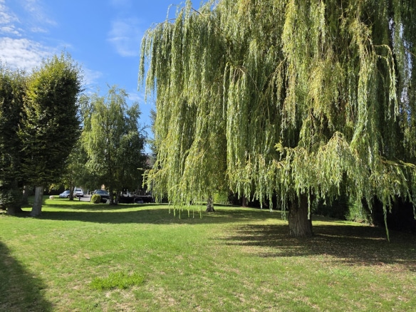 A garden with deciduous trees in a house in Bauvin