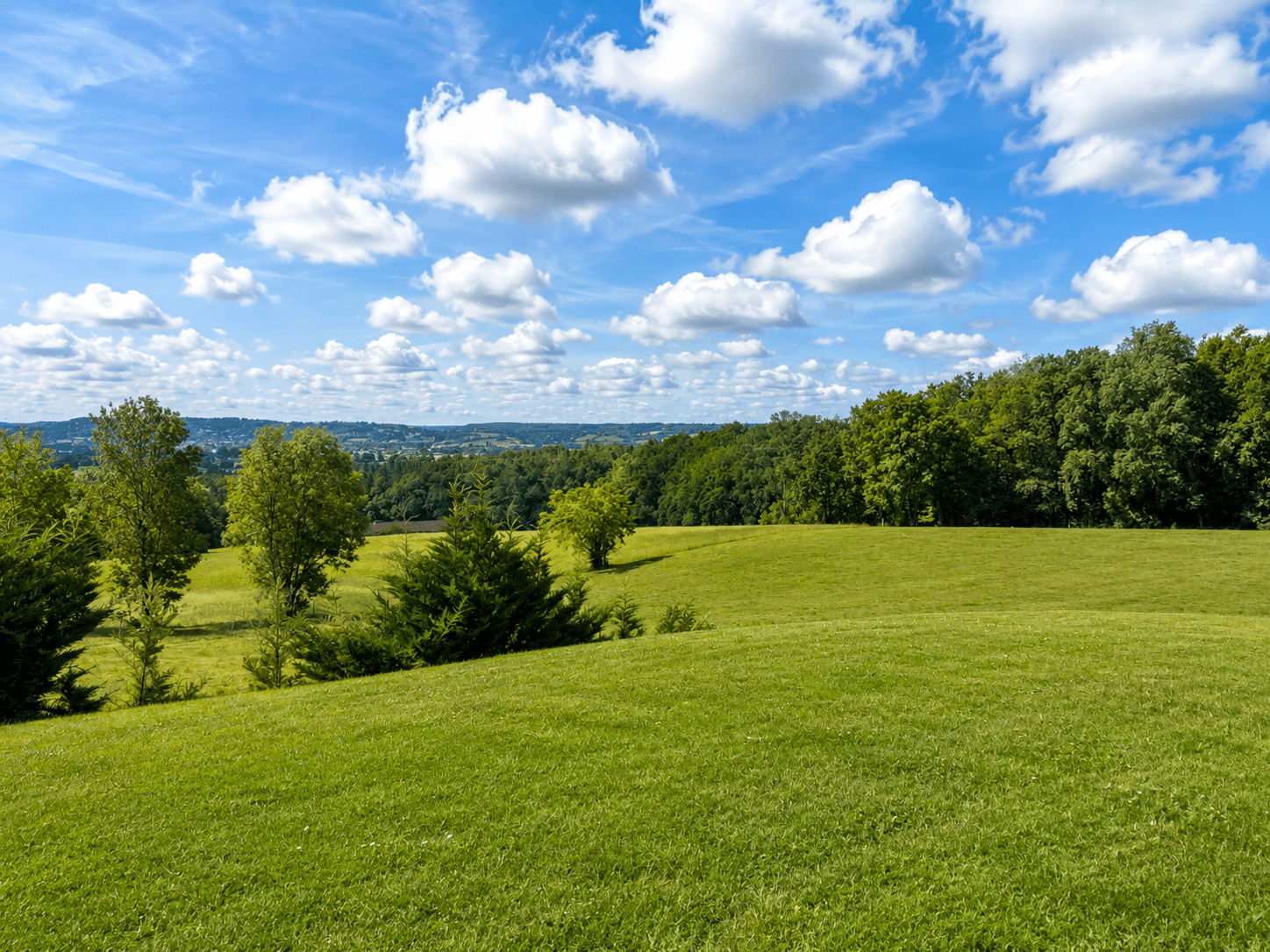 Unobstructed view of the countryside with trees and a cloudy sky.