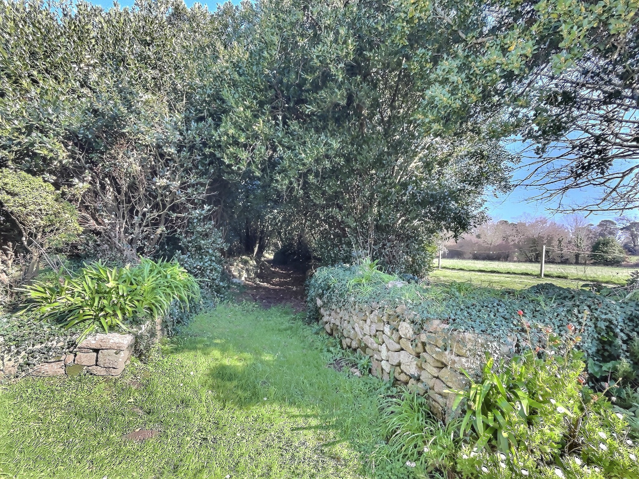 Allée verdoyante menant à une propriété historique, entourée de haies et de murs en pierre.