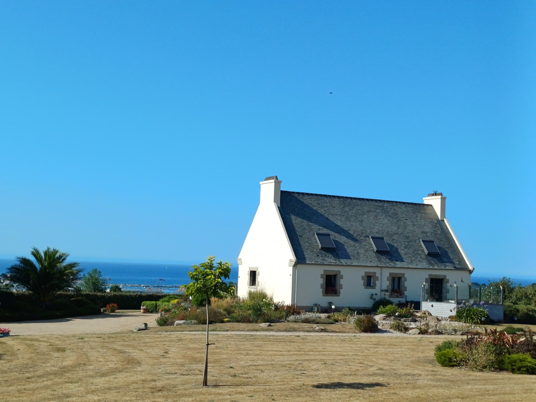 House with sea view in Plougasnou, surrounded by 7600 m2 of land.
