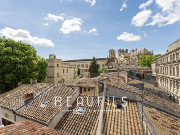 Vue panoramique sur les toits de Montpellier avec la Cathédrale Saint-Pierre en arrière-plan.