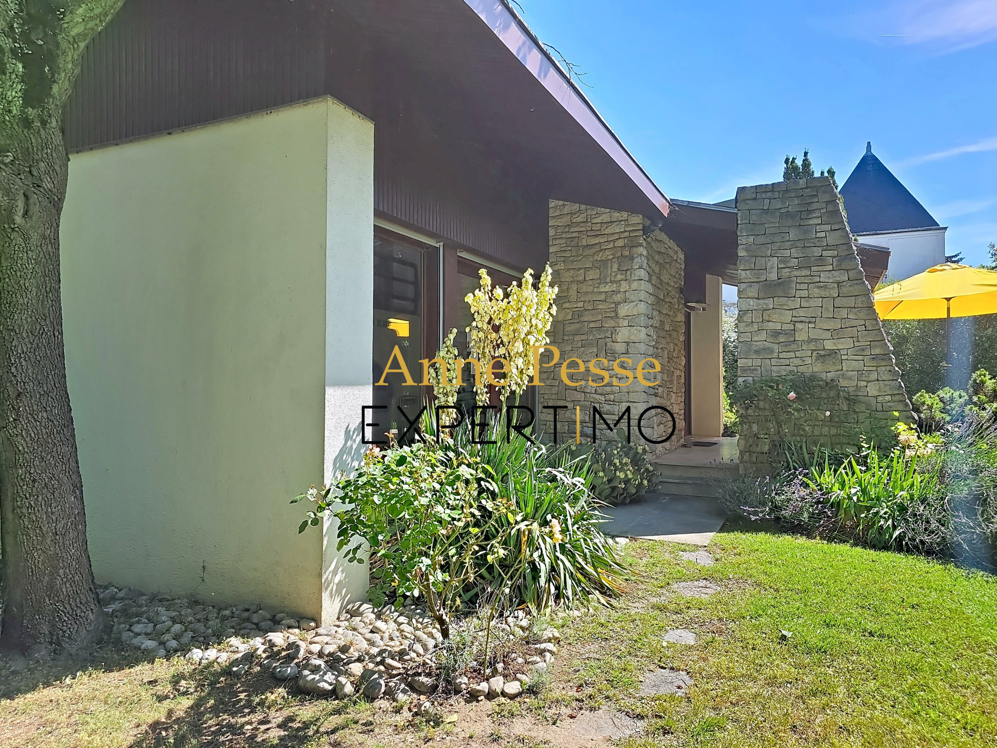 Villa d'architecte moderniste à Saint-Maur-des-Fossés, avec jardin arboré.