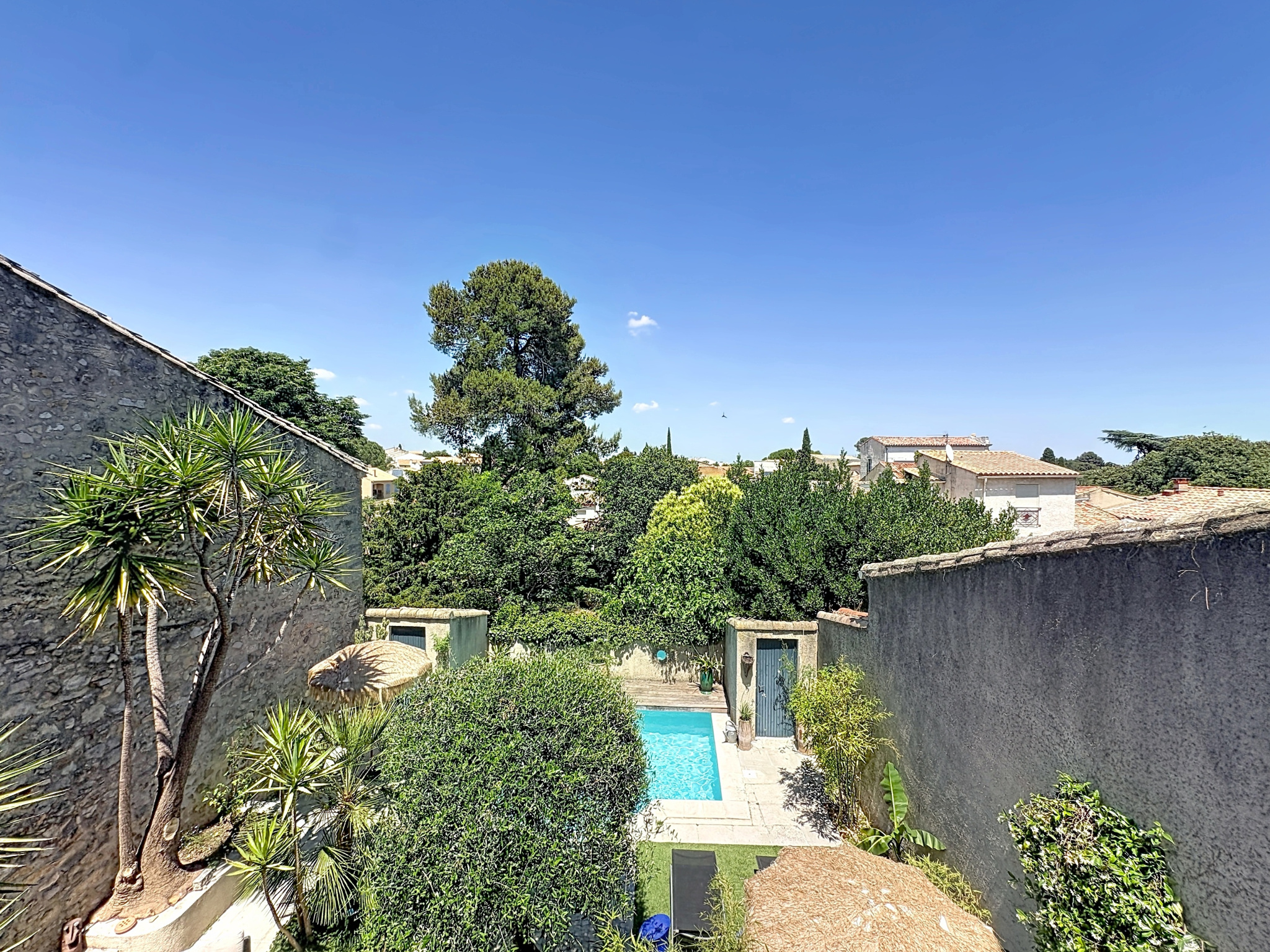 View of a swimming pool surrounded by vegetation in a winemaker's house in Saint-Georges-d'Orques.