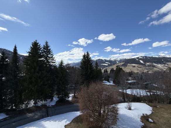 Vue panoramique des montagnes et des arbres avec de la neige au sol, Plateau du Mont-Arbois, Megève.