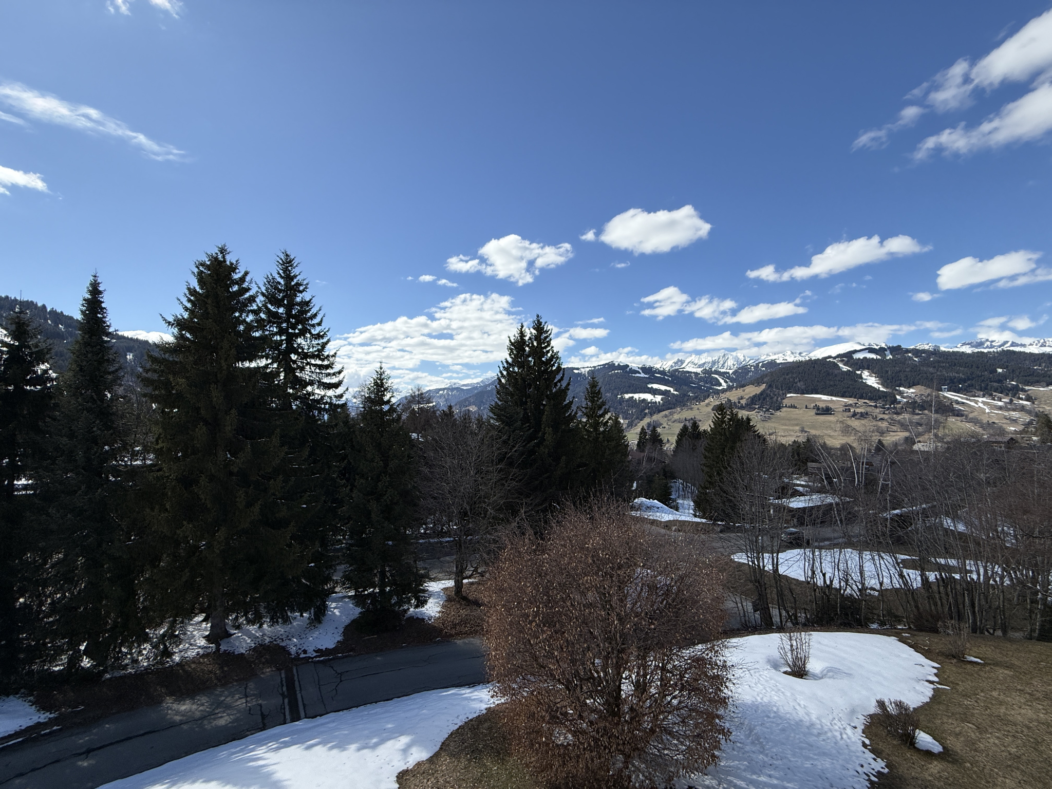 Vue sur le Plateau du Mont-Arbois Vue panoramique des montagnes et des arbres avec de la neige au sol, Plateau du Mont-Arbois, Megève.