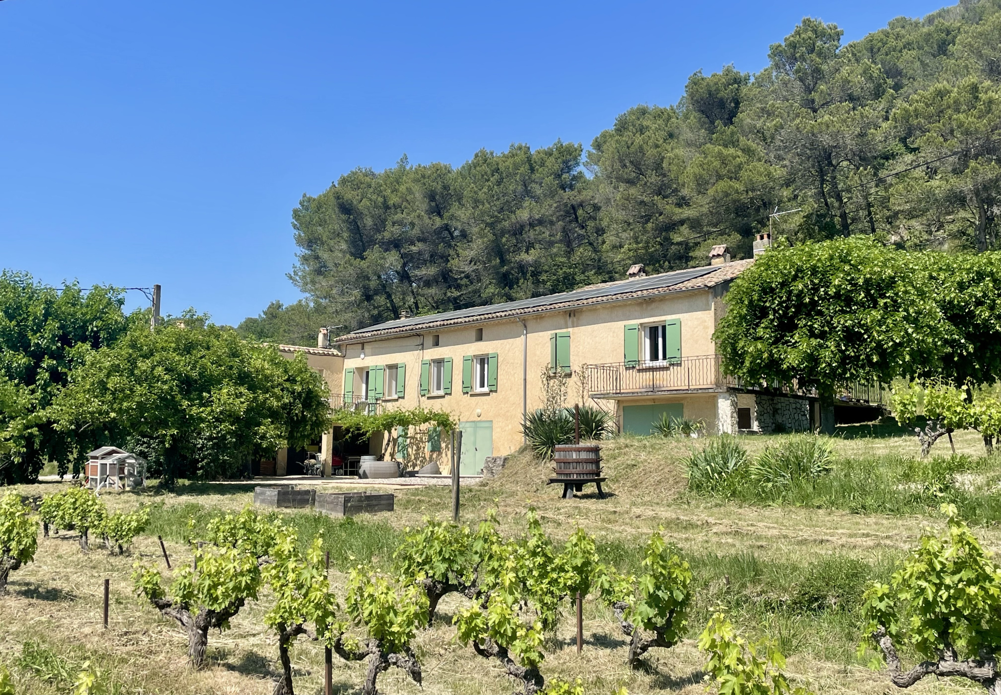 Property in Provence with gîte and swimming pool Property with cottage and swimming pool surrounded by vineyards in Faucon, Provence.