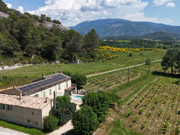 Property with guest room, gîte and swimming pool surrounded by vineyards in Faucon, with Mont Ventoux in the background.