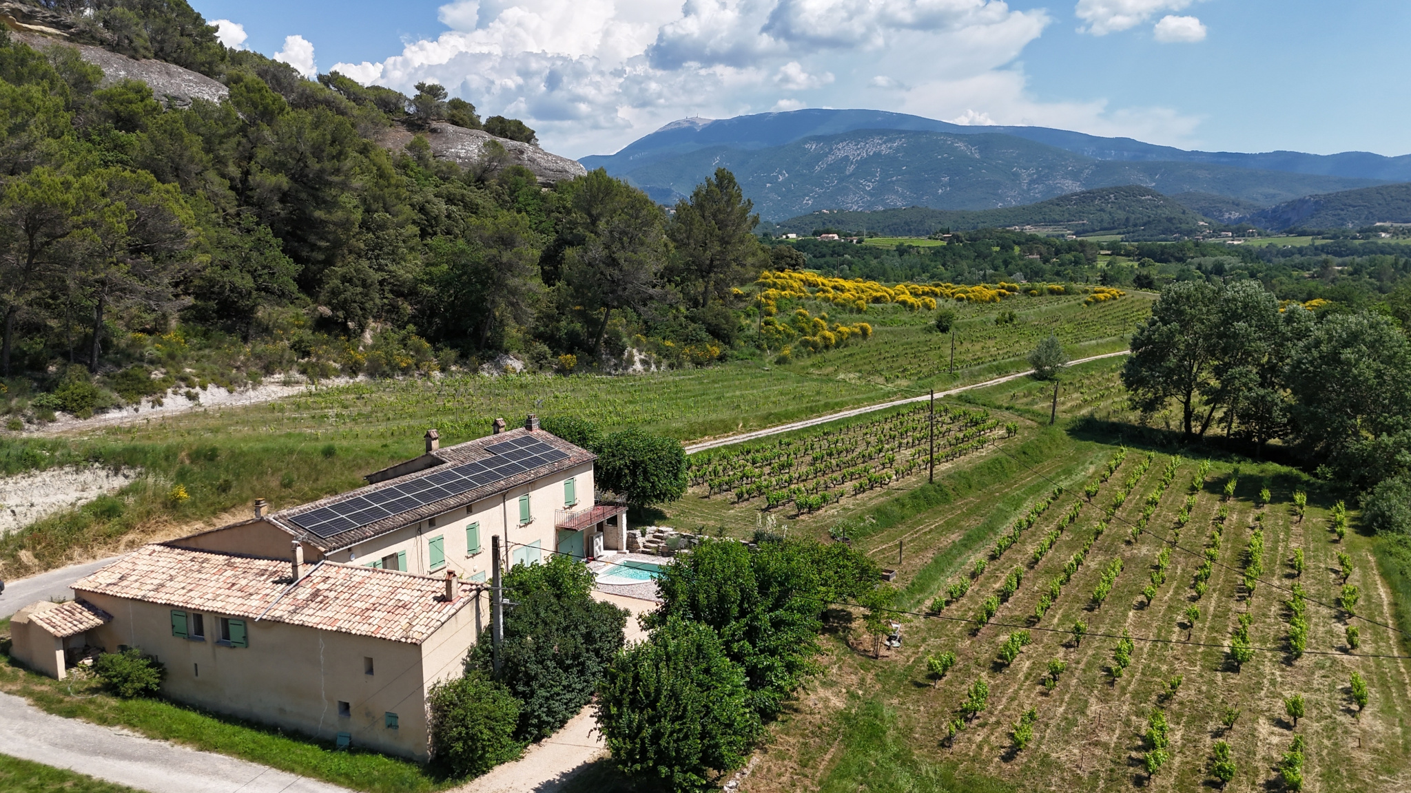 Property in Provence with gîte and swimming pool Property with guest room, gîte and swimming pool surrounded by vineyards in Faucon, with Mont Ventoux in the background.