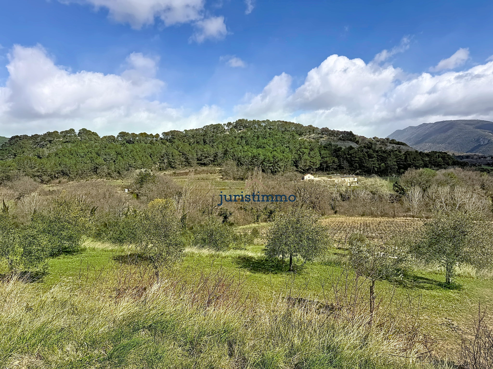 Property in Provence with views of Mont Ventoux View of a natural landscape with vineyards and hills, Mont Ventoux in the background.