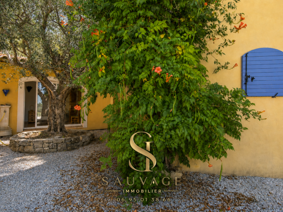 Exterior view of a family bastide with swimming pool, surrounded by trees and gravel in Draguignan.