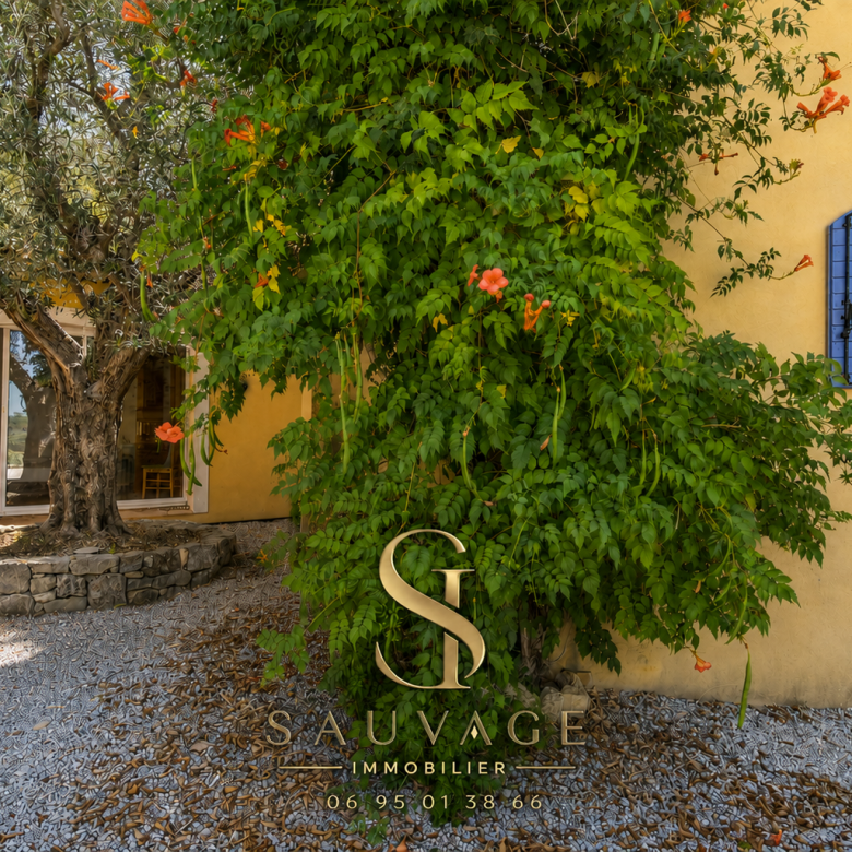 Luxury real estate photo | Charming Properties