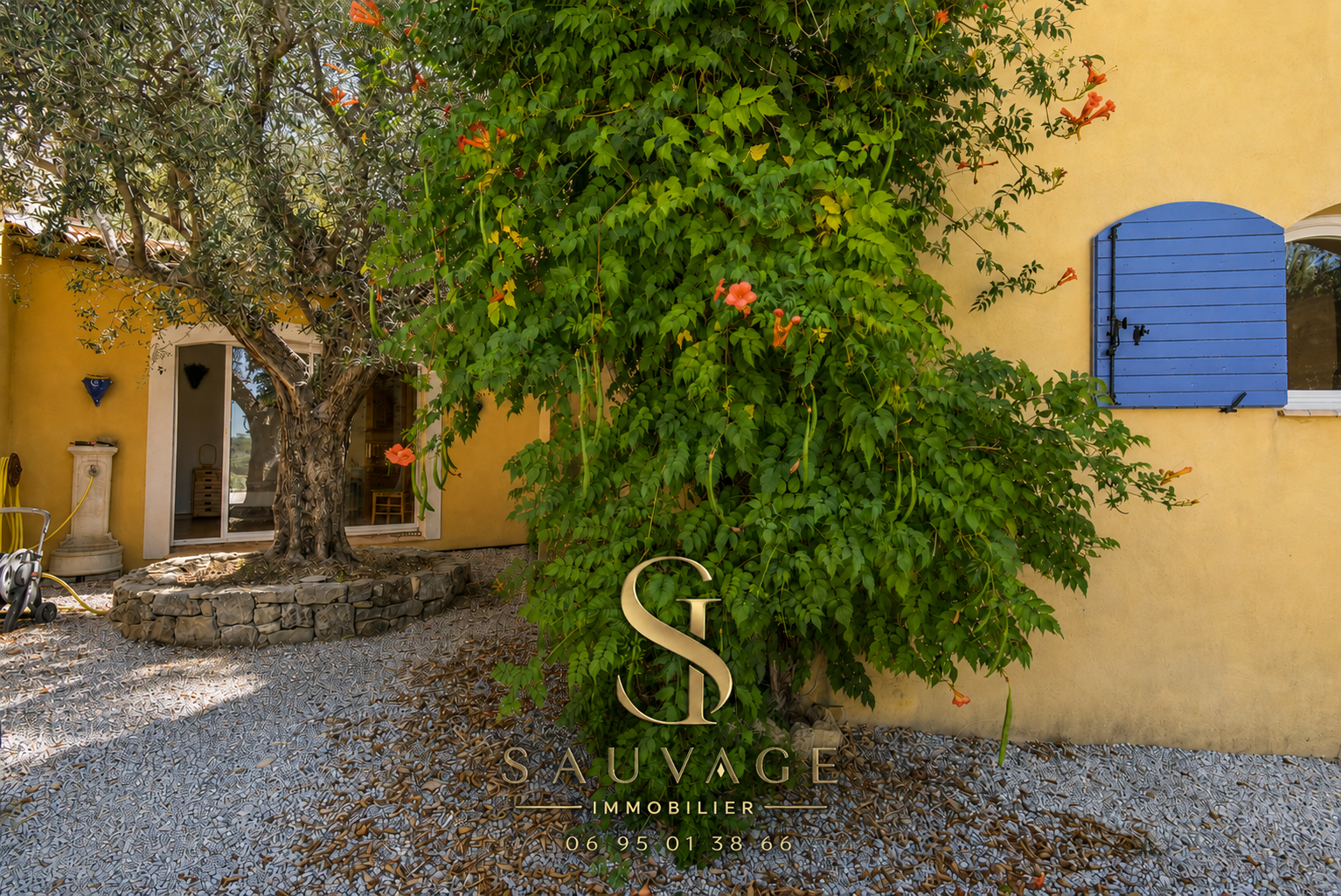 Exterior view of a family bastide with swimming pool, surrounded by trees and gravel in Draguignan.