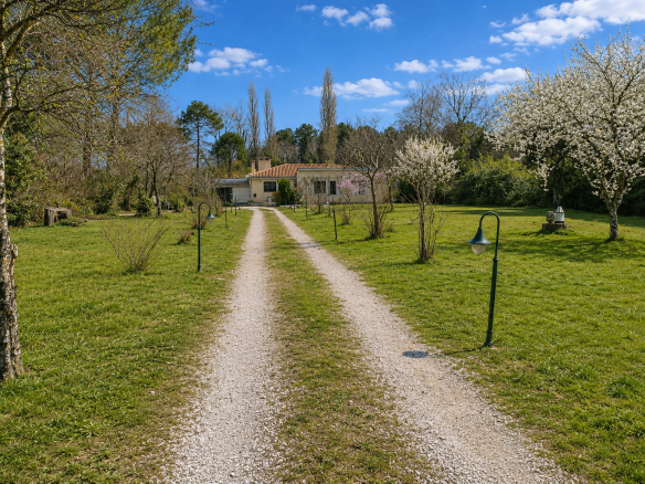 Driveway leading to a house surrounded by trees and flowers in Gradignan.
