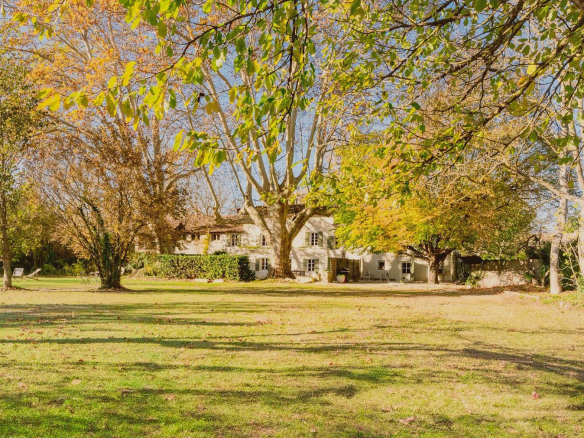 Propriété de charme avec parc, arbres et maison rénovée à L'Isle-sur-la-Sorgue.