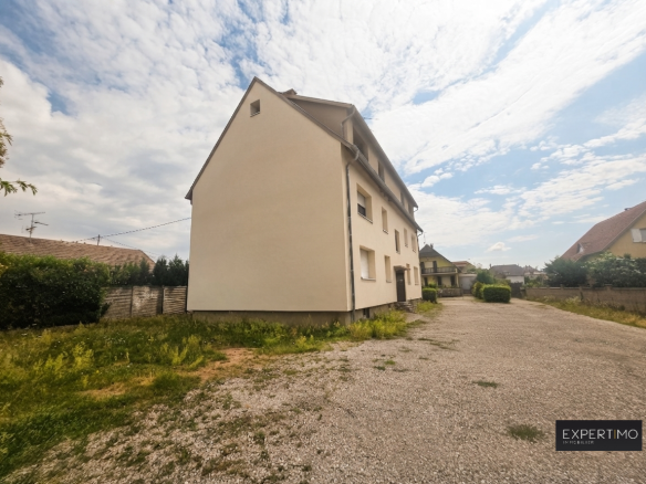 Immeuble à vendre à Ensisheim, vue extérieure avec jardin et places de parking.