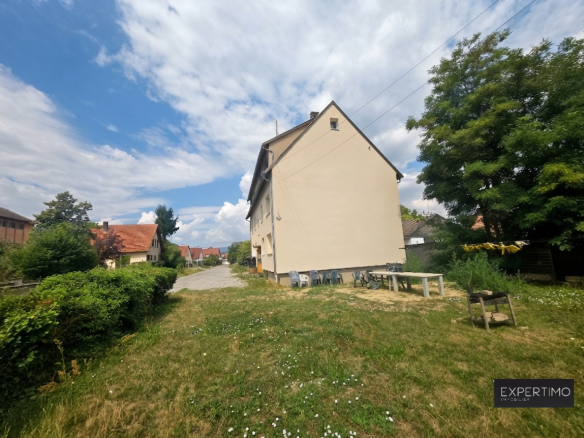 Immeuble de rapport à vendre à Ensisheim, vue extérieure avec jardin et stationnement.