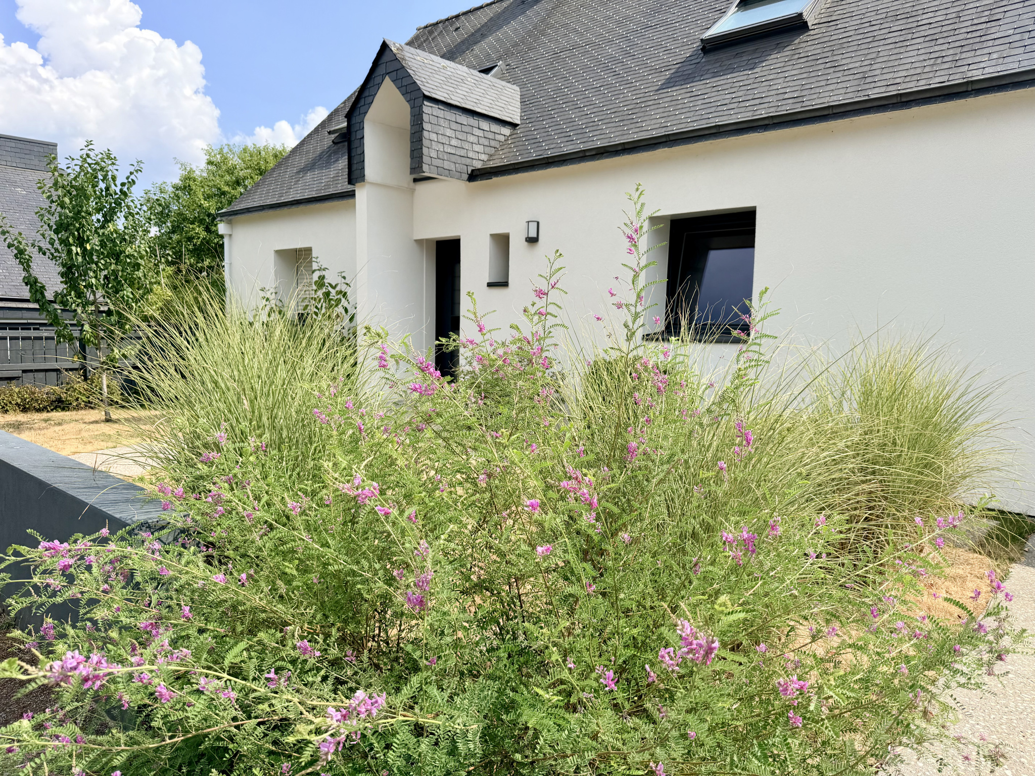Maison contemporaine avec jardin fleuri à Vannes, entrée moderne et toiture en ardoise.