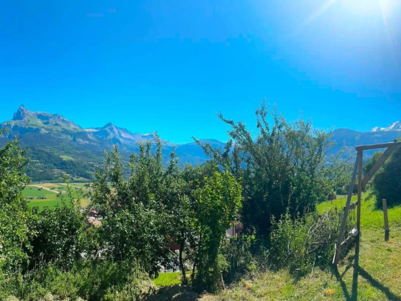 Vue dégagée sur les montagnes depuis un terrain avec des arbres à Domancy.
