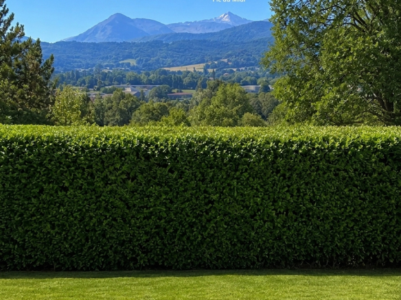 Vue sur le Pic du Midi depuis une villa avec piscine et jardin.