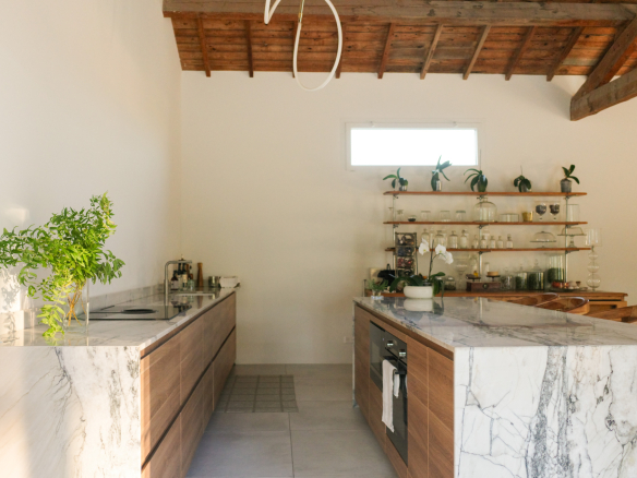 Modern kitchen with central island and marble elements, natural lighting, decorative plants.