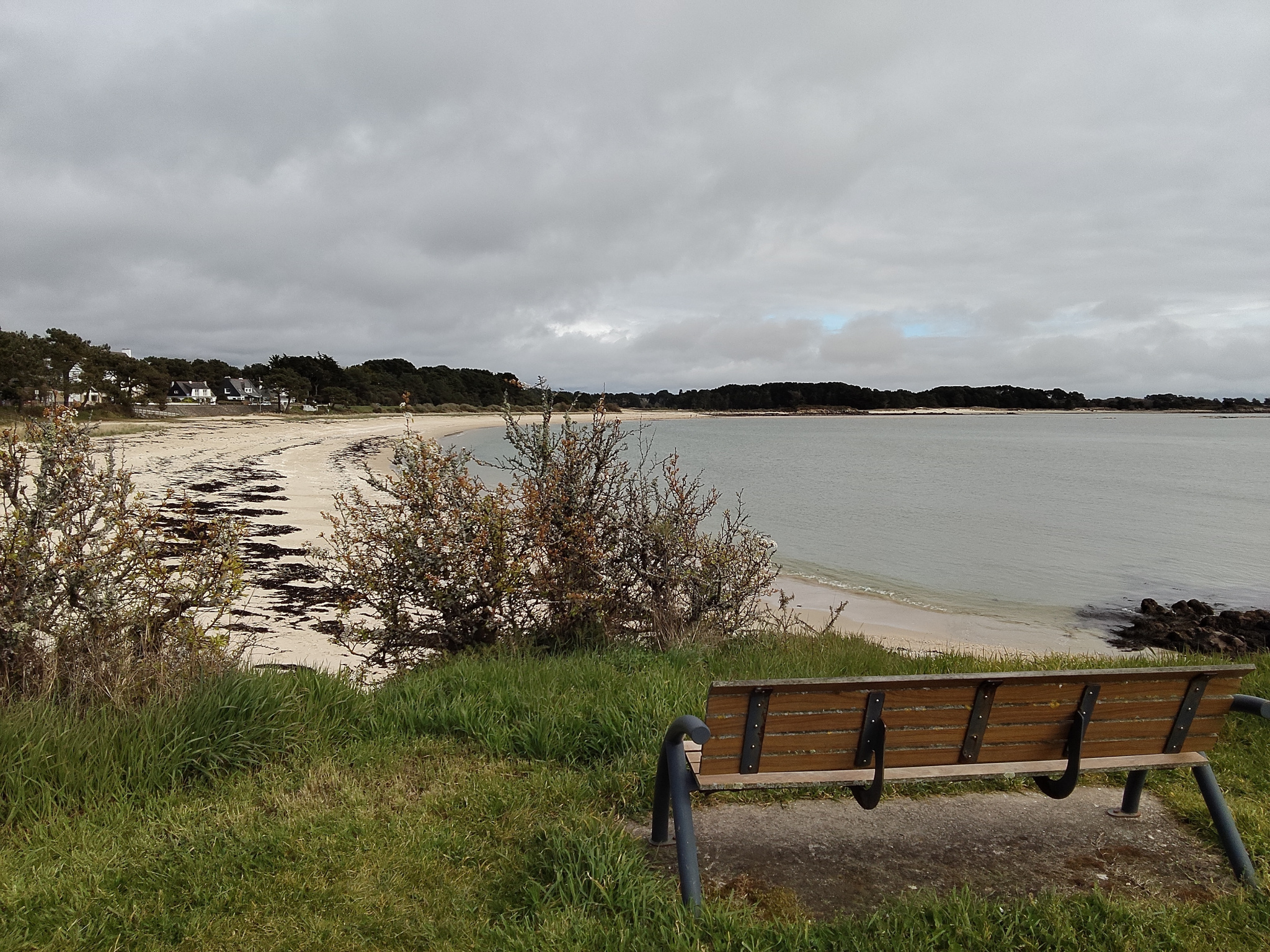 View of a beach in Carnac with a wooden bench and grass in the foreground.