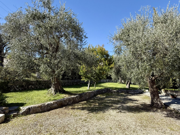 Garden of a property with olive trees and landscaped grounds in Tourrettes-sur-Loup.