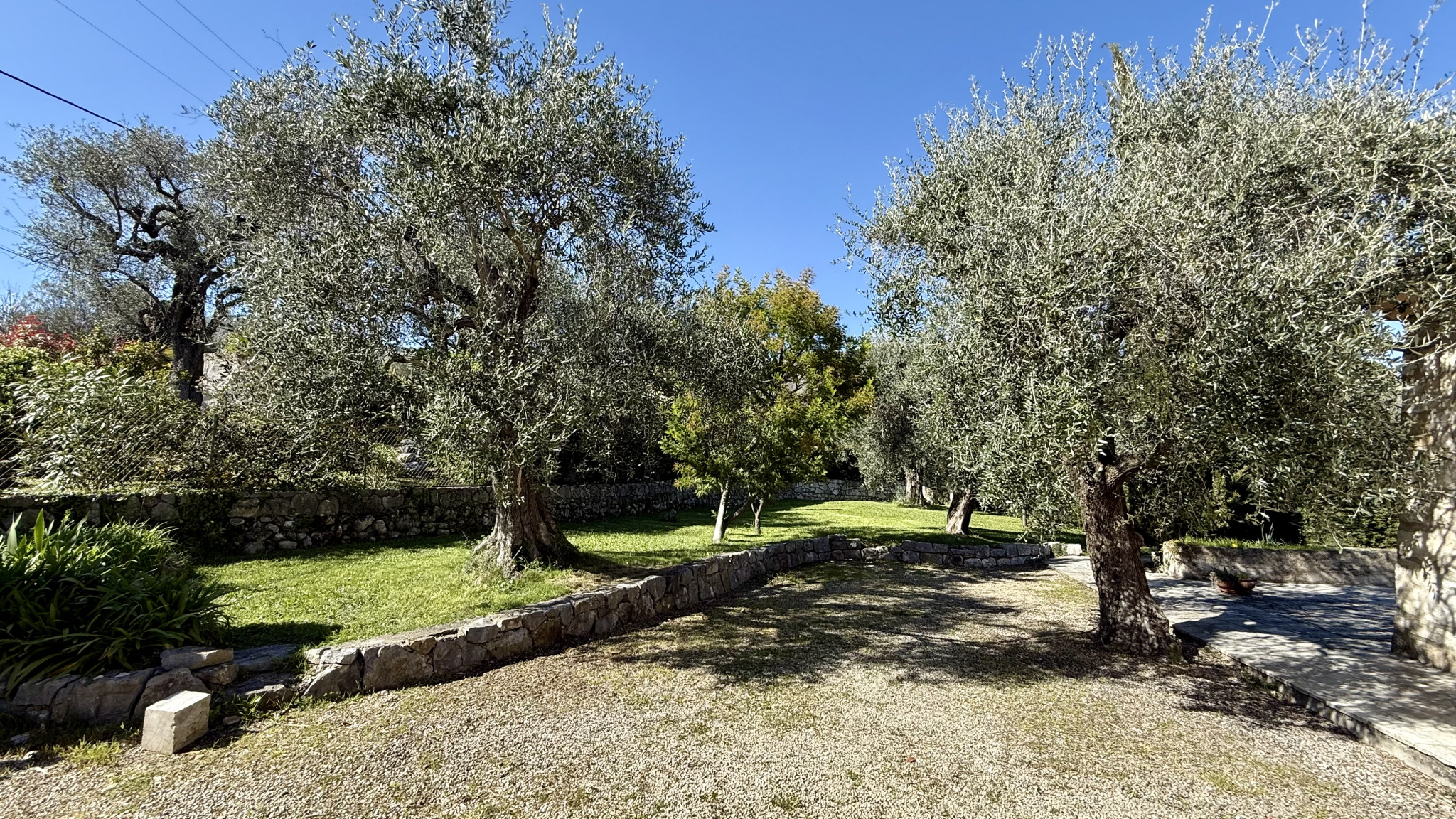 Garden of a property with olive trees and landscaped grounds in Tourrettes-sur-Loup.