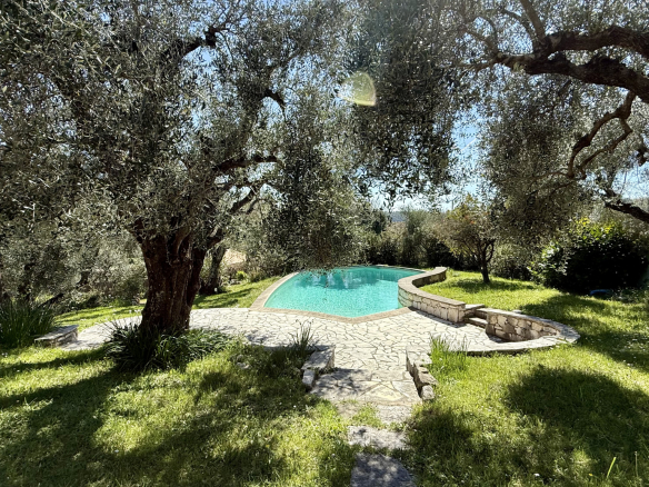 Garden with swimming pool surrounded by olive trees in Tourrettes-sur-Loup.