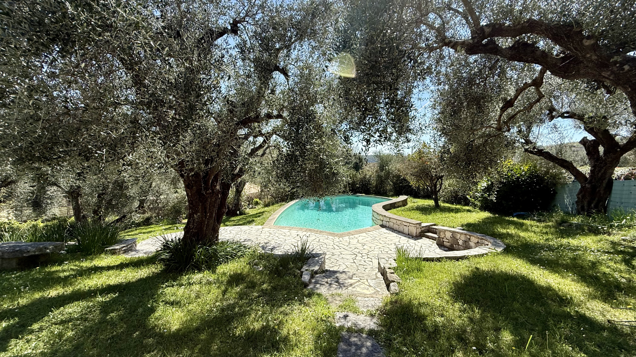 Garden with swimming pool surrounded by olive trees in Tourrettes-sur-Loup.